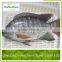 Frozen Organic Tilapia Fillet Fish Price
