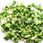 FD vegetables of spring/green onion