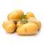 Promotion Offer Mesh bags packede Potato