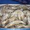 Frozen vannamei shrimp price