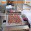 fully automatic industrial peanut microwave roasting/baking machine