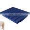 zhizheng 2017 color brilliancy baby pig plastic floor poultry slatted floor