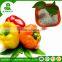 High quality hote sale npk17-17-17 with competitive price