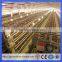 Guangzhou Factory chicken cage, laying battery hens cage, poultry farming cage equipment