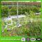 High Quality Climbing Plant Support Net