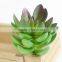 85 Different kinds Mixed Artificial succulent plants DIY Spring Collection