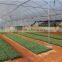 UV resistance flower greenhouses,farm hothouses, glasshouse big shed made in China