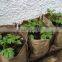Non Woven Fabric Plant Pots Garden Grow Bags About Tomatoes
