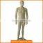 Window Display Fiberglass Realistic Male Mannequin