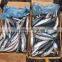 China cheap china frozen fish pacific mackerel on with good quality