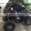 Chain Driven 110CC Adult Dune Buggies