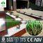 Bi-color garden ornament artificial plant landscaping artificial grass for decoration