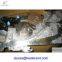 40units Juki cn081c used feeders are in stock for sale