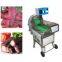 Cutting cheese slicer