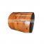 China galvanized color coated factory gi steel coils