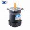 ZD MOTOR, AC motor without gearbox 220V 60W GN type