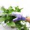 Gardens Collection Garden Gloves Labor Supply Goat Skin Leather Palm Gardening Gloves Floral