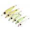 30g 40g 50g 60g 80g Hot Sale Luminous Glow in Dark Metal Lure Sea Fishing Jigs