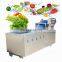 Industrial fruit and vegetable washer machine automatic bubbling washing machine