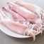 whole round china loligo squid