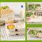 Biodegradable Molding Eco Friendly Tableware Food Disposable Sugarcane Pulp Bagasse Lunch Box With Lid Rectangular