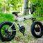 20 Inch Fat Bike/fat Tire Bicycle 20