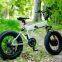 20 inch fat bike/fat tire bicycle 20