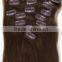 Brazilian 100% remy human clip in hair extension