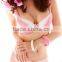 2013 -2014 New Arrival Sexy Bra and Panty New Design