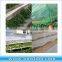 UV resistant transparent PE plastic sheet for Tunnel