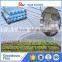 Hot Sale 6 mil agricultural white greenhouse film