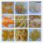 CE Certificate High Efficient Automatic Doritos Chips Machine