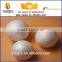 Wholesale White Decoration Polyfoam Ball For Christmas