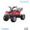 Electric Start Engine Kids ATV For Sale