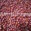 cheap's Chinese New crop red adzuki beans