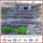 China supplier silver galvanized gabion mesh
