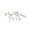 Small Dinosaur skeleton dig kit