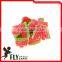 Fruit Sweets Watermelon Silce Soft Gummy Candy