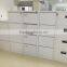 Customized Color 2/3/4 Drawers Steel File Steel Individual Locker