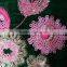 Velvet sequins Embroidery Fabric
