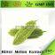 Hot Sale Bitter Melon Extract