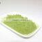 Dried Parsley Leaf Powder Sale On The Spot