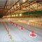 Broiler with waterline
