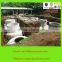 China Biogas Digester for Waste Water Treatment Equipment Buying Online in China