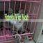 wire cage
