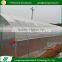 Latest style steel skeleton simple high tunnel tropical greenhouse