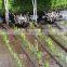 2015 china hot sell rice transplanter price