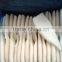 IQF/BQF Frozen Squid Tube