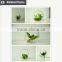 Artificial succulent home decorative tropical plants small manufacturing plant