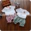 2017 new spring breathable flower baby girl clothes clothing set Korea used clothing Fitness for babay girl wear